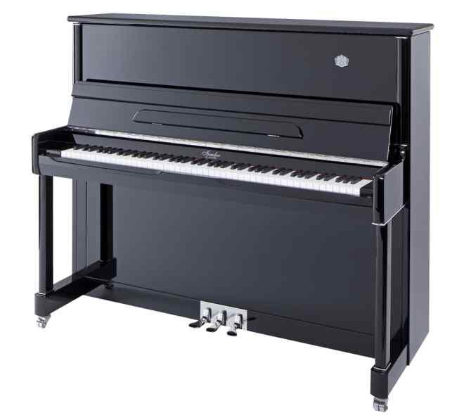 ip125 660x597 1 פסנתר אקוסטי 34